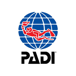 Padi Assistant Instructor